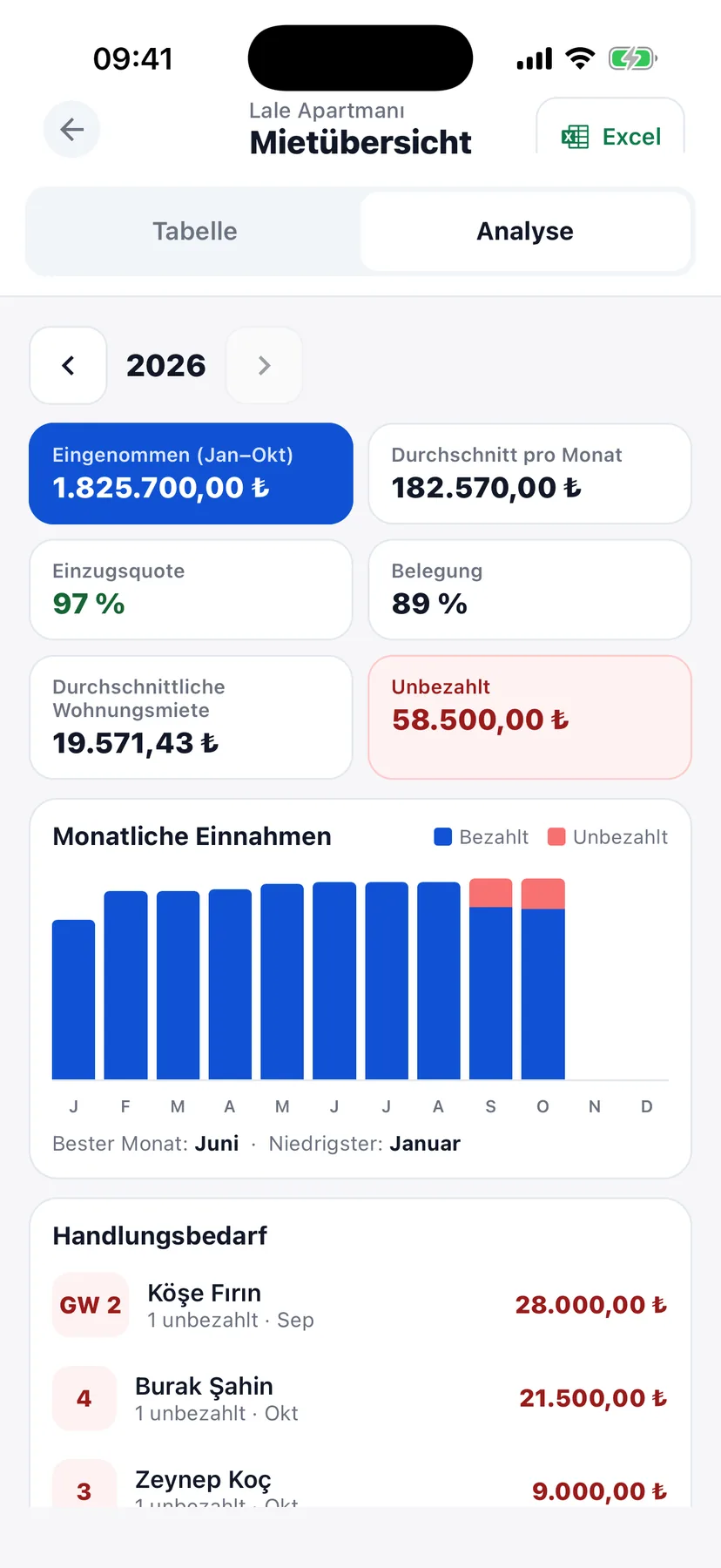 Jährliche Einnahmenanalyse